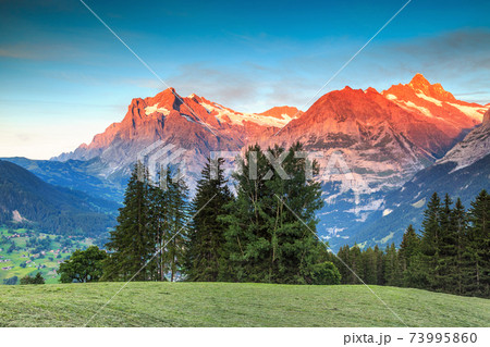 Alpine rural landscape with high snowy mountains,Grindelwald,Switzerland,Europe 73995860