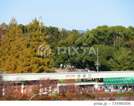 大阪　吹田　万博公園　万博公園中央口（晩秋） 73996006