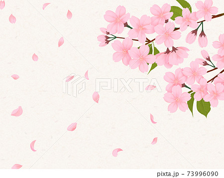 花びらが散る桜の背景素材 花びらが散る桜の背景素材 73996090