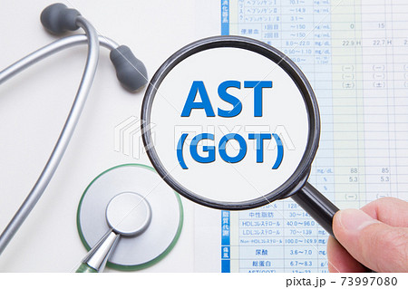 AST (GOT) 医療イメージ AST (GOT) 医療イメージ 73997080