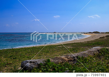 青く澄んだ海と空と流木 73997401
