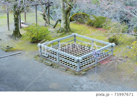 【大分県・竹田市】岡城跡 73997671