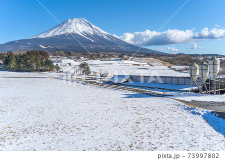 冬の朝霧高原　雪景色 73997802