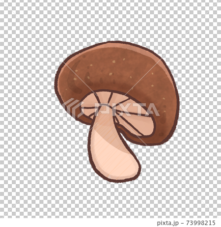 R: More fairy tale mushrooms Shiitake mushroom D 73998215
