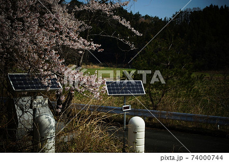 除染 除染 74000744