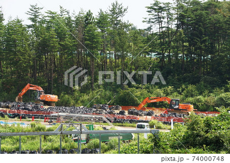 除染 除染 74000748