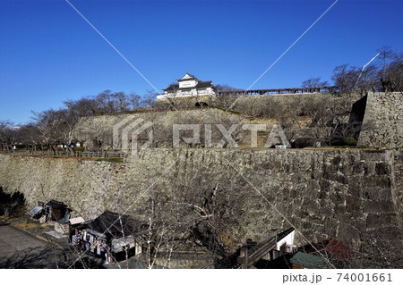 岡山県津山市にあるさくら名所100選のひとつ「鶴山公園（津山城趾）」：落葉の鶴山公園 74001661