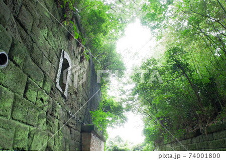 猿島　横須賀　軍艦島　無人島　自然島　公園　海　煉瓦　　野外　バーベキュー　天空　基地　フランドル 74001800