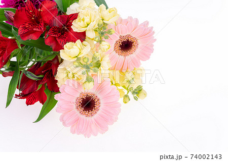 花束　ガーベラ　アルストロメリア　スプレーストック 74002143