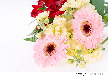 花束　ガーベラ　アルストロメリア　スプレーストック 74002145