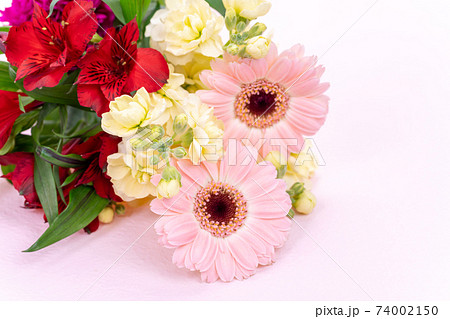 花束　ガーベラ　アルストロメリア　スプレーストック 74002150