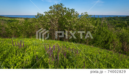 Dnipro river blossoming shores summer landscape, Trakhtemyriv historical hilly peninsula on Kaniv water Reservoir Cherkasy Region, Ukraine. Dnipro river blossoming shores summer landscape, Trakhtemyriv historical hilly peninsula on Kaniv water Reservoir Cherkasy Region, Ukraine. 74002829