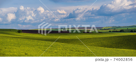 Spring evening view with rapeseed yellow blooming fields in sunlight with cloud shadows. Natural seasonal, good weather, climate, eco, farming, countryside beauty concept. Spring evening view with rapeseed yellow blooming fields in sunlight with cloud shadows. Natural seasonal, good weather, climate, eco, farming, countryside beauty concept. 74002856