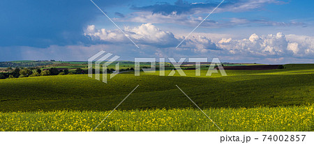Spring evening view with rapeseed yellow blooming fields in sunlight with cloud shadows. Natural seasonal, good weather, climate, eco, farming, countryside beauty concept. Spring evening view with rapeseed yellow blooming fields in sunlight with cloud shadows. Natural seasonal, good weather, climate, eco, farming, countryside beauty concept. 74002857