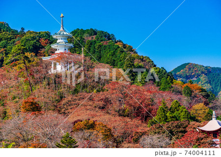 (埼玉県)秋の白雲山鳥居観音 玄奘三蔵塔 (埼玉県)秋の白雲山鳥居観音 玄奘三蔵塔 74004111