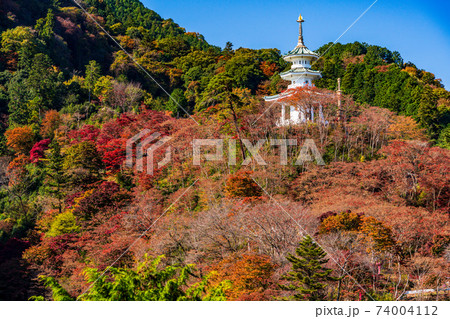 （埼玉県）秋の白雲山鳥居観音　玄奘三蔵塔 74004112