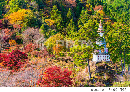 埼玉県 紅葉に包まれた 白雲山鳥居観音 納経塔 の写真素材