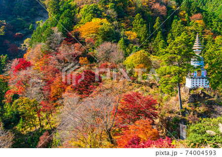 埼玉県 紅葉に包まれた 白雲山鳥居観音 納経塔 の写真素材