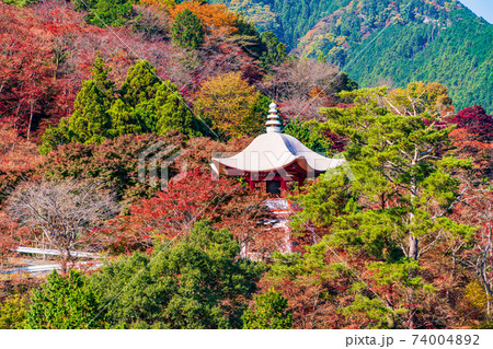 埼玉県 紅葉に包まれた 白雲山鳥居観音 大鐘楼の写真素材