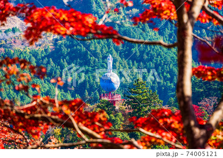 埼玉県 紅葉に包まれた 白雲山鳥居観音 平和観音の写真素材