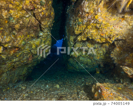 ソフトコーラルと貝殻で覆われた水中洞窟の内部 (メルギー諸島、ミャンマー) 74005149