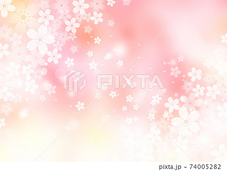 桜_淡いピンク背景733 74005282