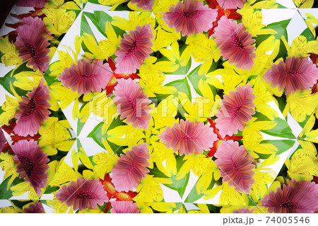 切り花万華鏡 アルストロメリアとガーベラ1の写真素材