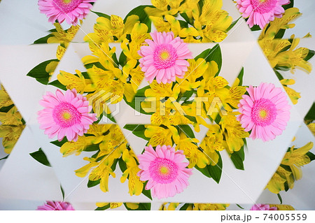 アルストロメリアとガーベラ・万華鏡 74005559