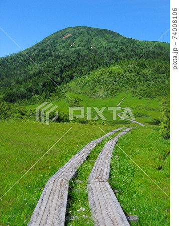 尾瀬・燧ヶ岳へとつづく木道(熊沢田代) 74008106
