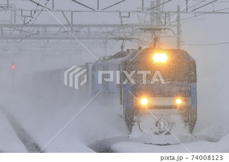 猛吹雪の上越線を走る貨物列車 猛吹雪の上越線を走る貨物列車 74008123