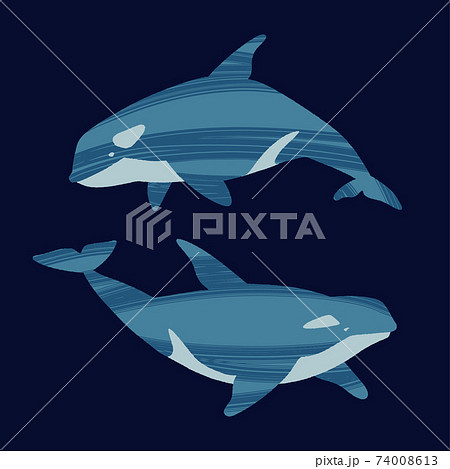 Two killer whales. Ocean animals in trendy flat style. 74008613