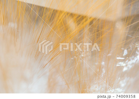 パワーストーン　ルチルクォーツ　天然石 74009358