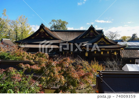 秋の北野天満宮/御土居のもみじ苑 74009359