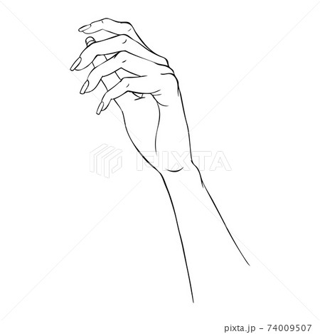 Hand gestures outline vector illustration. Women's girl's female palm drawing. 74009507