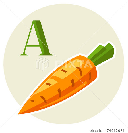 Illustration of stylized carrot. 74012021