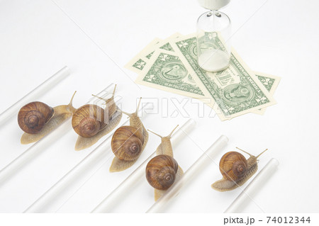 snails run to the finish line with money. breakthrough and perseverance in the business. 74012344