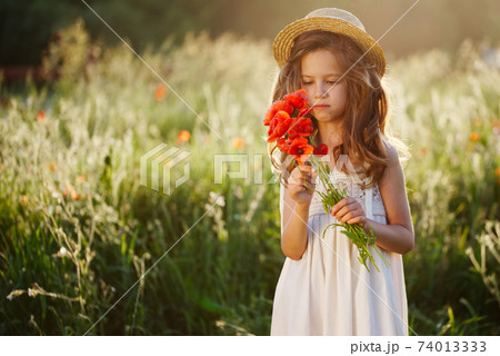 cute little girl in meadow with red poppies cute little girl in meadow with red poppies 74013333