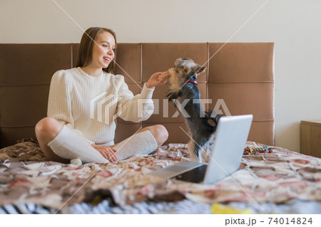Young woman playing with dog on weekend day at home. Happy yorkshire terrier puppy 74014824