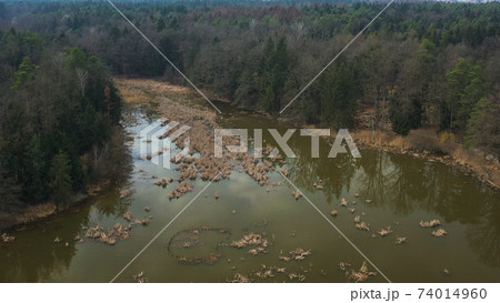 Pond in autumn, aerial view 74014960