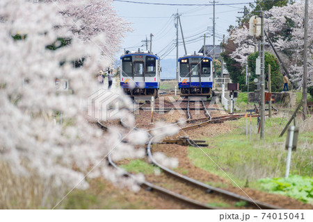 【のと鉄道】桜咲く西岸駅での列車交換 【のと鉄道】桜咲く西岸駅での列車交換 74015041