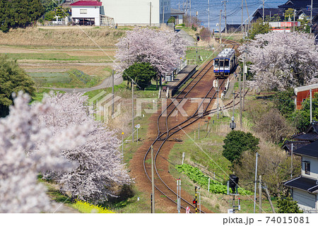 【のと鉄道】桜咲く西岸駅の俯瞰 【のと鉄道】桜咲く西岸駅の俯瞰 74015081