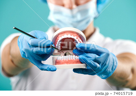Closeup of model of human teeth and a dental mirror in hands of doctor. Concept of dental health 74015719