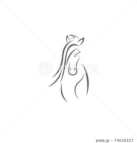 Horse logo icon design template vector Horse logo icon design template vector 74016327