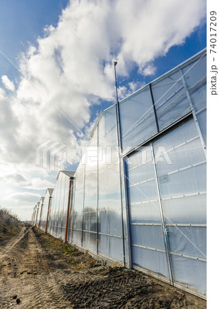 Horticulture concept with greenhouse. Blue cloudy sky background 74017209