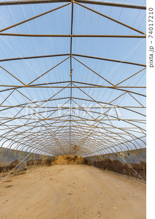 Half empty Sawdust warhouse. Industrial concept, large building with transparent, glass roof Half empty Sawdust warhouse. Industrial concept, large building with transparent, glass roof 74017210