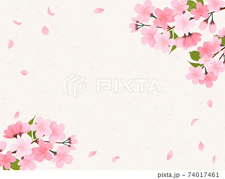花びらが散る桜の背景素材 74017461