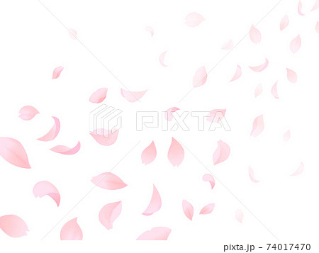舞い落ちる桜の花びらのイラスト素材 [74017470] - PIXTA