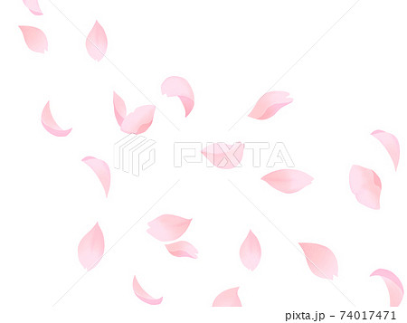 舞い落ちる桜の花びらのイラスト素材