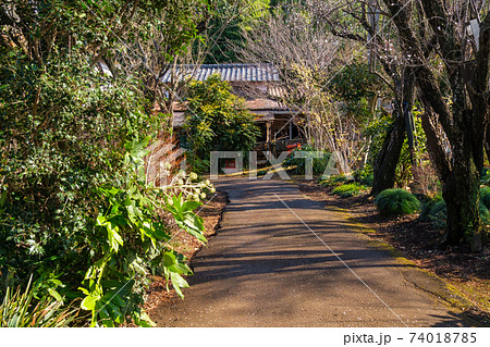 道の陽差し 74018785