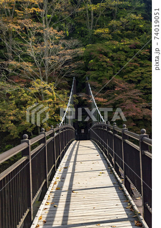 栃木県 塩原温泉 紅の吊り橋の写真素材